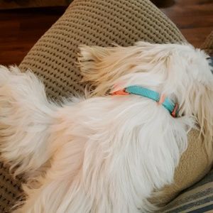 Meet your Posher, Pam